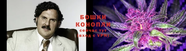 молекула духа Майский