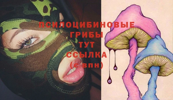 мяу мяу мука Медногорск