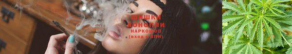МДПВ Магас