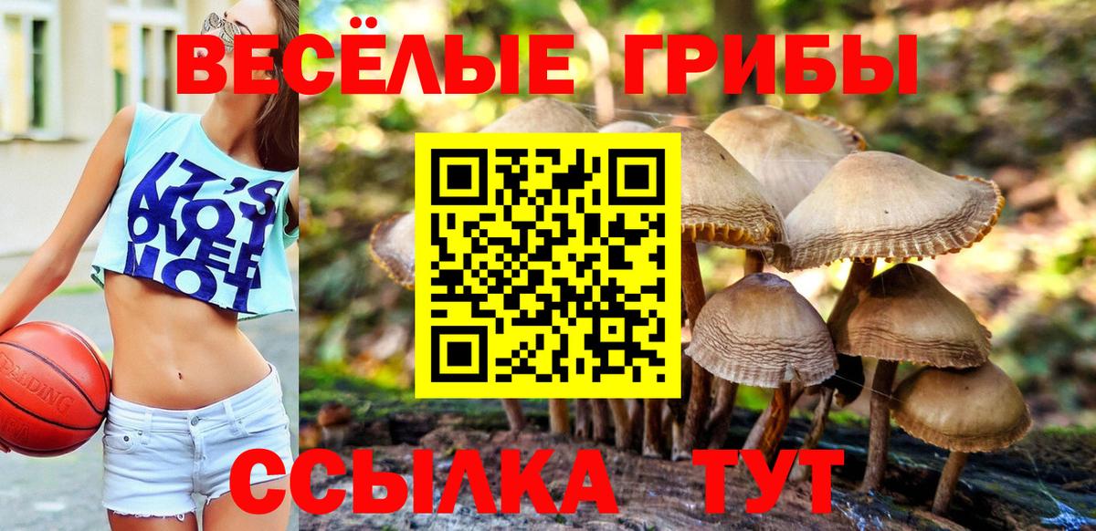 Новоалтайск  Галлюциногенные грибы Psilocybine cubensis  Вход с VPN 