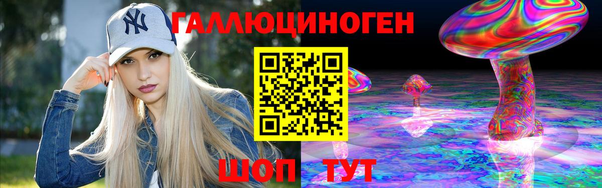 Псилоцибиновые грибы Psilocybe Новоалтайск